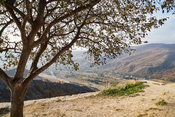 Autumn landscapes with fantastic views from mountain to valley. Colourful mountain nature in autumn, summer, or spring day