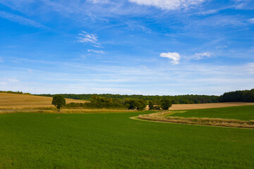Fototapeta na wymiar Cette photo a été prise vers Nevers, dans la Nièvre, en Bourgogne, en France, en été, en drone. Elle montre la campagne avec ses prairies et ses champs de blé après la moisson.