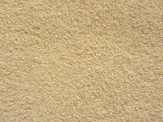 Beige color raw Wheat bran