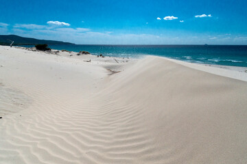 Fototapeta na wymiar white sand in porto pino beach, sardinia