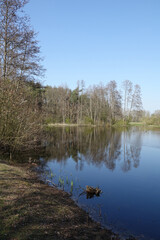 Weiher bei Muenster-Breitefeld