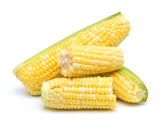 Corn on a white background