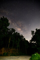 The Milky Way Star beautiful sky On The Bright forest