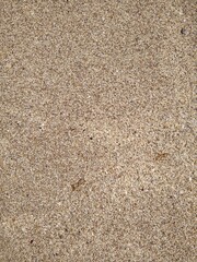 The sand structure on the Mediterranean coast in summer close up.