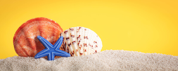 Ein Mix aus verschiedenen Muscheln im Sand  © defpics