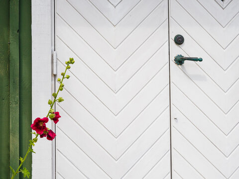 Flower in front of door