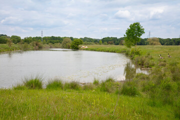 Landschaft am Fluß Lippe, Hamm, Ruhrgebiet, Nordrhein-Westfalen, Deutschland, Europa