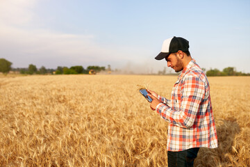 Precision farming. Farmer holding tablet pc, using online data management software at wheat field....