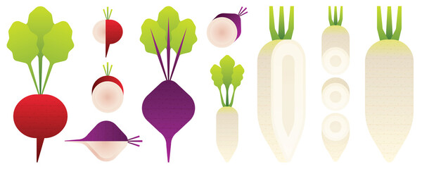 Vegetables and fruits illustration
