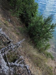 Turquoise color of the water in the reservoir. Lake. River. Nature. Landscape.