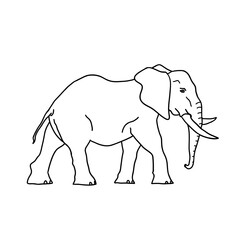 Naklejka premium Elephant line vector logo Safari animal drawing.