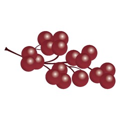 bunch of red grapes