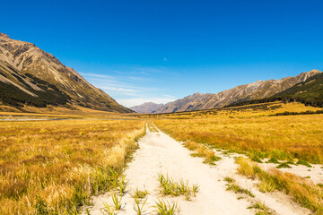 The Ahuriri track, in the conservation park, leading through a grassland valley © Jozef