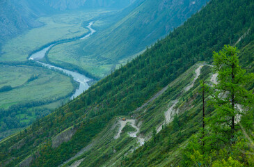 Fototapeta premium View of the gorge of the Chulyshman River and the serpentine mountain road from the Katu-Yaryk pass. Ulagansky district, Altai Republic, Russia