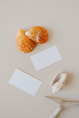 Blank paper cards and seashells on beige background. Flat lay, top view minimal branding mockup copy space template.