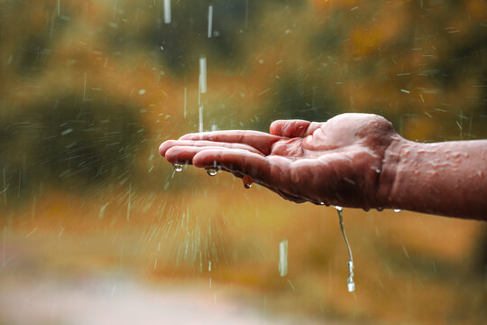 78 5 Best Hands In Rain Images Stock Photos Vectors Adobe Stock 78 5 Best Hands In Rain Images Stock Photos Vectors Adobe Stock
