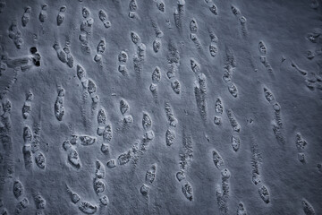 tracks asphalt snow, ice, people’s tracks from shoes on snow, snow removal weather