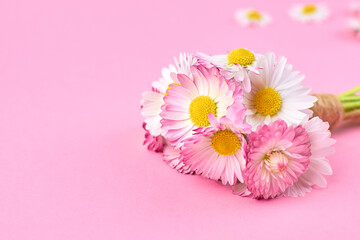 Daisy flowers bouquet on pink background