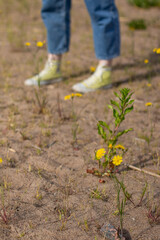 young woman planting flowers