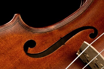 Violin.