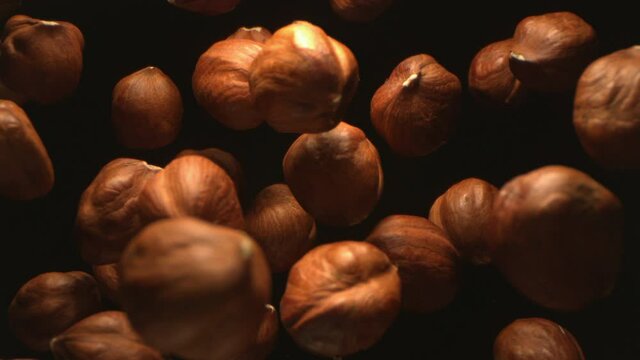 Hazelnut Nuts Flying in the Air in a Free Fall in Slow Motion on Black Background 4K