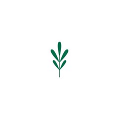Green thyme twig, shoot, sprig. Icon Isolated on white. Logo for eco company