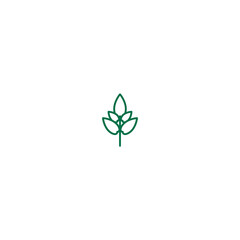 Green line basil twig, shoot, sprig. Icon Isolated on white. Logo for eco company