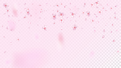 Nice Sakura Blossom Isolated Vector. Spring Showering 3d Petals Wedding Paper. Japanese Beauty Spa Flowers Illustration. Valentine, Mother's Day Realistic Nice Sakura Blossom Isolated on Rose