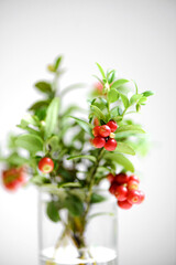 Bouquet of lingonberry with red fruits on a white background