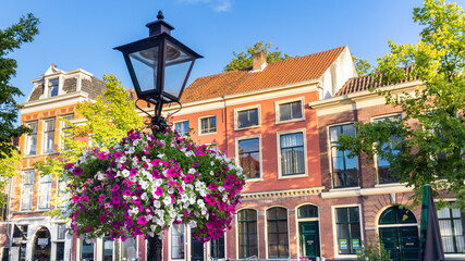 Fototapeta na wymiar Beautiful flowers during the summer hanging on street lights in the historic center of Leiden in the Netherlands, Europe