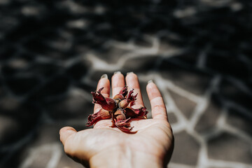 Close up woman hand with nuts shell and peel. Ripe dry fruit, agriculture concept.  Organic, healthy food.