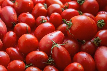 Ripe red tomatoes with water drops close-up in large quantity