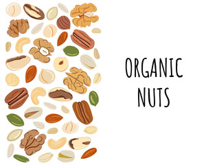 Template with border with nuts and seeds. Kitchen, cooking print and banner.