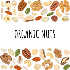Template with border with nuts and seeds. Kitchen, cooking print and banner.