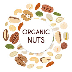 Fototapeta na wymiar Banner template with nuts and seeds in circle.