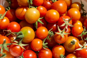 Tomates cherry