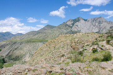 Landscape of Altai mountains in Russia with forest and plants
