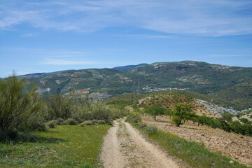 road in the mountains and among vegetation