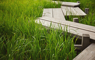 Wooden zigzag Japanese bridge through high grass