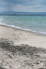 Summer black sand beach background