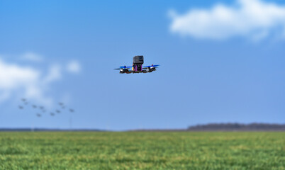 Fototapeta na wymiar Racing drone flying over a field of yellow oil flowers