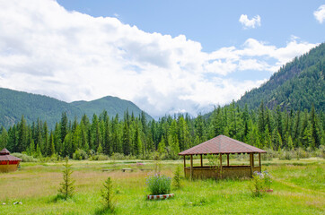 Landscape of Altai mountains in Russia with forest and plants
