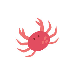 Crab cute vector illustration. Hand drawn ocean, marine, sea red, pink crab animal. Isolated.