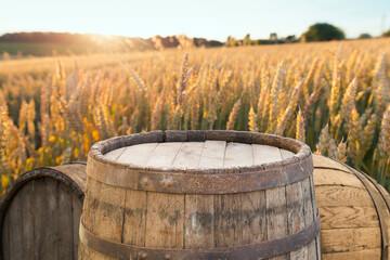 Glasses of light beer with barley and the plantations background.