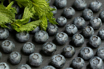 Symmetrical rows of blueberries on a black stone board with green mint petals. Stylish berry background. Summer berry.