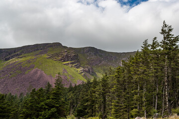 Scenic mountains of glentanassig woods in the Dingle Peninsula, County Kerry, Ireland