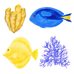 Fototapeta na wymiar Watercolor illustration set of Yellow Tang Fish Blue Tang Fish and coral reef. Hand drawn. Isolated on white background.