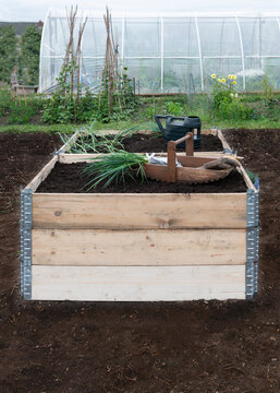 raised beds  pallet collars