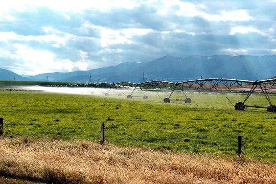Sprinkler On Grass Field