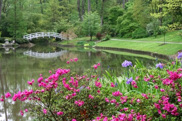 Duke Garden at Spring time, durham,nc